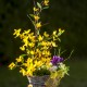 jarní košík, větvičky umělého zlatého deště, v proutěném patinovaném košíku, doplněno jarními květy